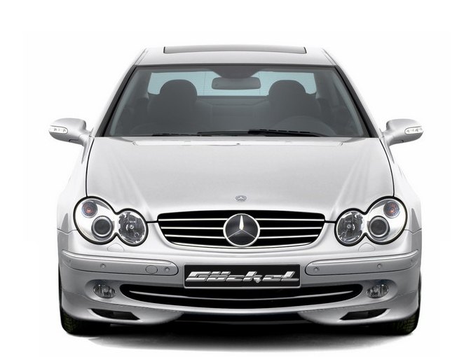 CLK_W209_Mercedes_Frontspoilerflepps_bis_Mopf_1.jpg